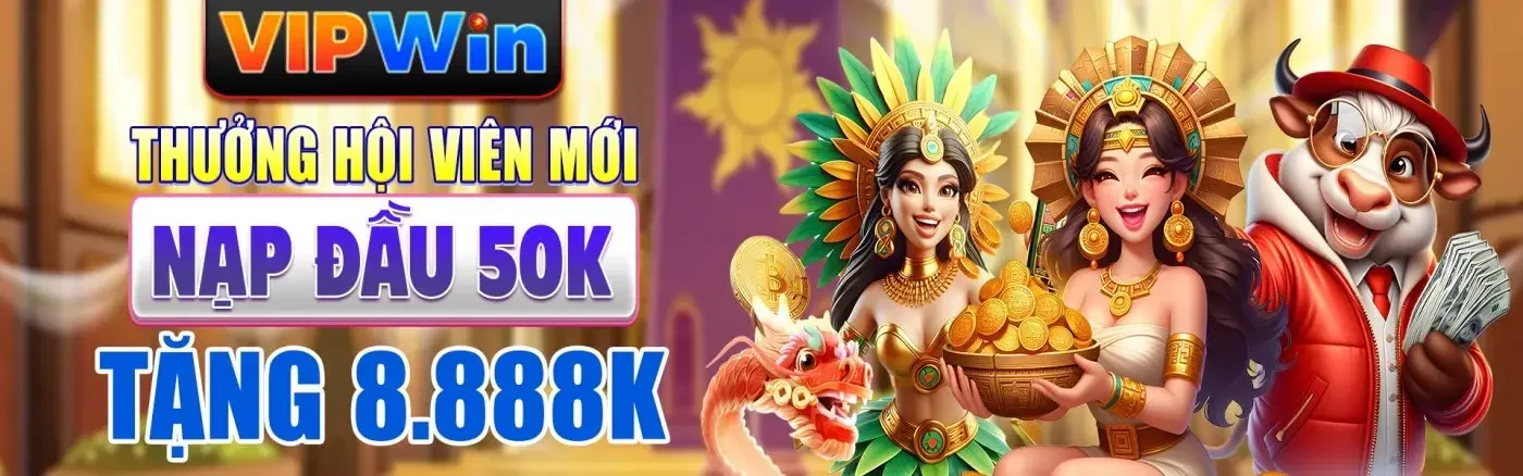banner vipwin