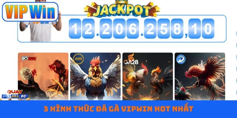 3 hình thức đá gà Vipwin HOT nhất