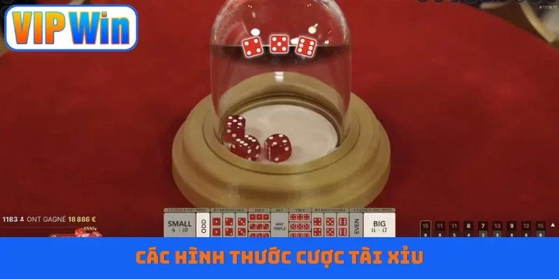 Các hình thước cược tài xỉu