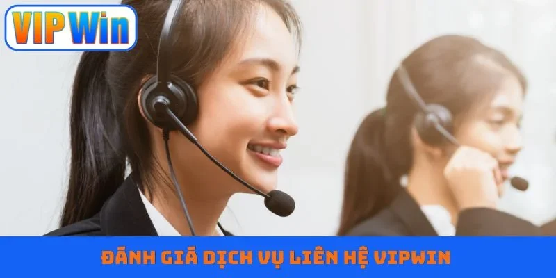 Đánh giá dịch vụ liên hệ Vipwin